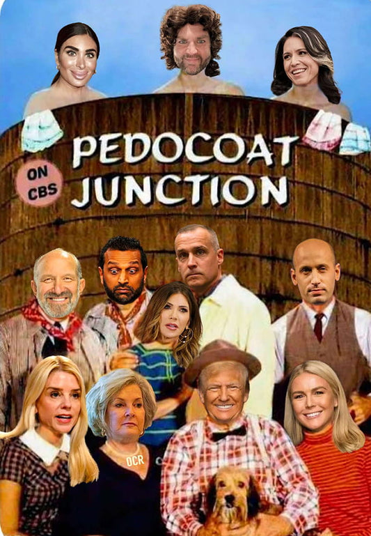 Pedocat Junction